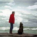 old man and dog on rock watching ocean storm
