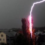 tree-lightning strike