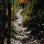 Bierstadt Lake trail
